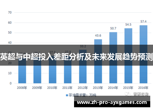 英超与中超投入差距分析及未来发展趋势预测