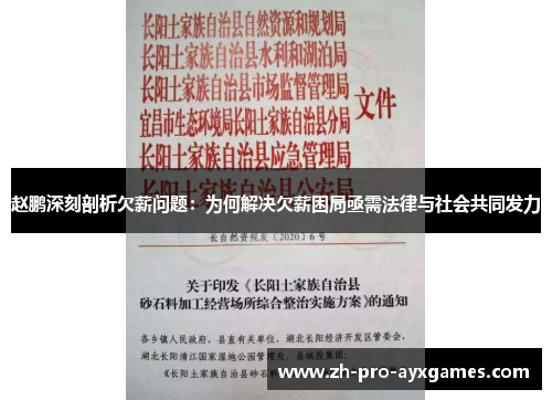 赵鹏深刻剖析欠薪问题：为何解决欠薪困局亟需法律与社会共同发力