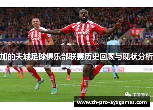 加的夫城足球俱乐部联赛历史回顾与现状分析